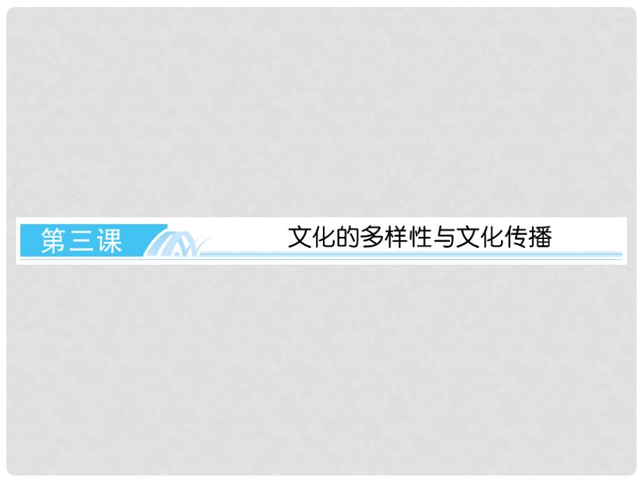 高考政治总复习 文化生活 33 文化的多样性与文化传播课件 新人教版必修3_第2页