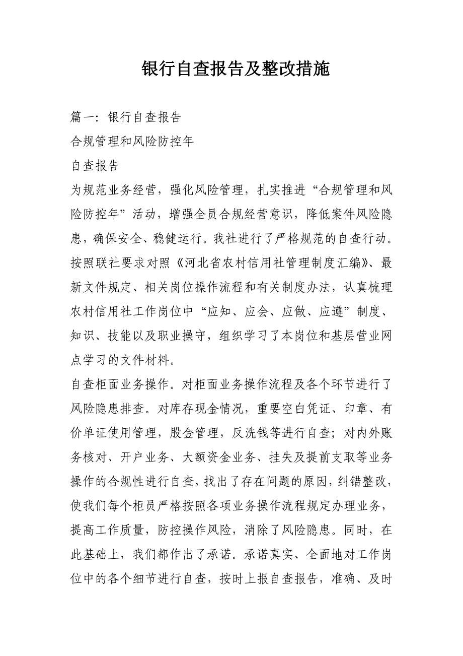 银行自查报告及整改措施（天选打工人）.docx_第1页