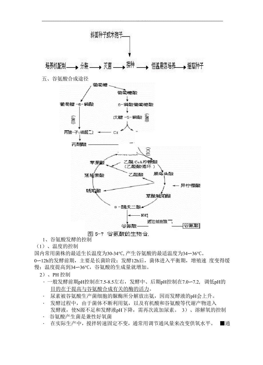 味精的工艺流程_第5页