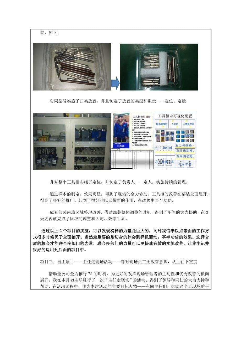 试用期工作总结报告IE_第5页