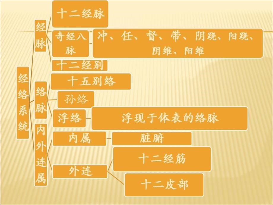 第四章经络学时_第5页