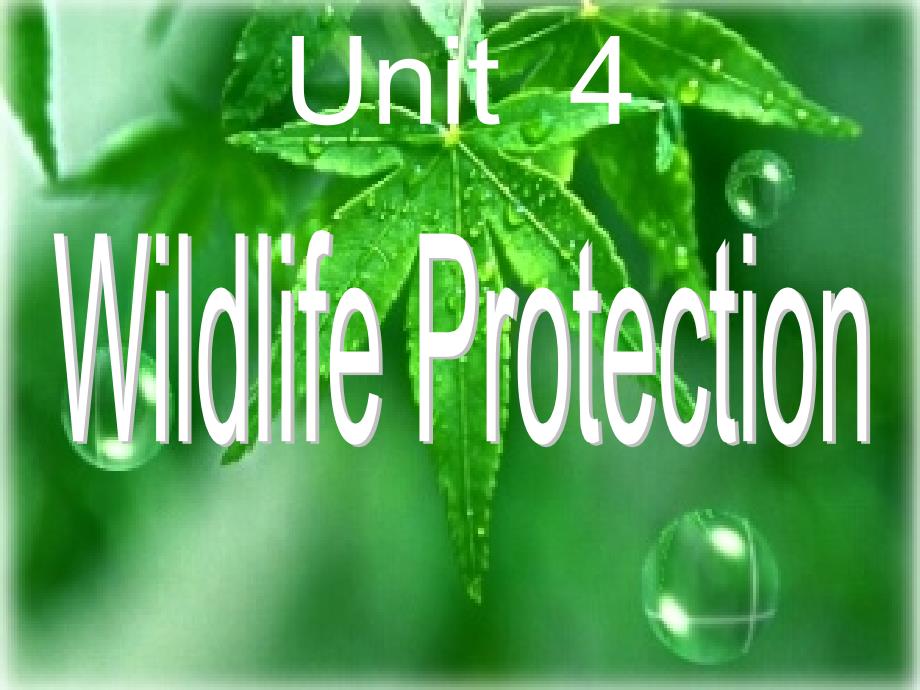 wildlifeprotection_第1页