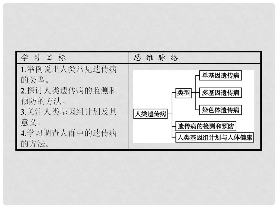 高中生物 5.3 人类遗传病课件 新人教版必修2_第2页