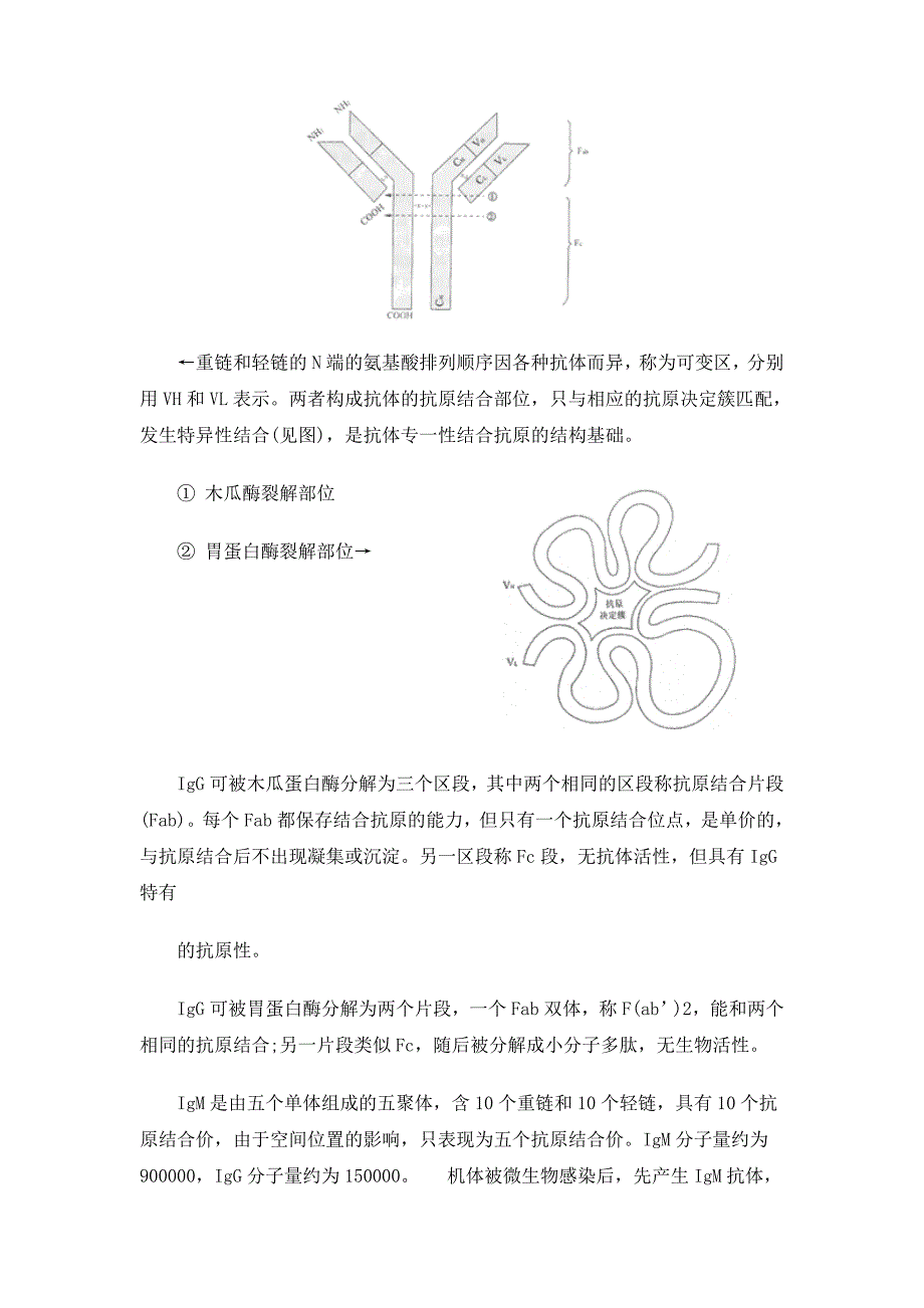 免疫检测的基础知识介绍_第2页