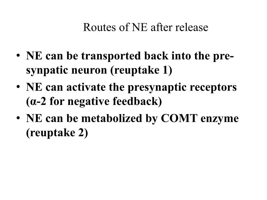 药理学课件：Adrenergic Agonists_第3页