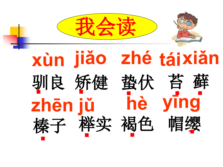 松鼠课件.ppt_第4页