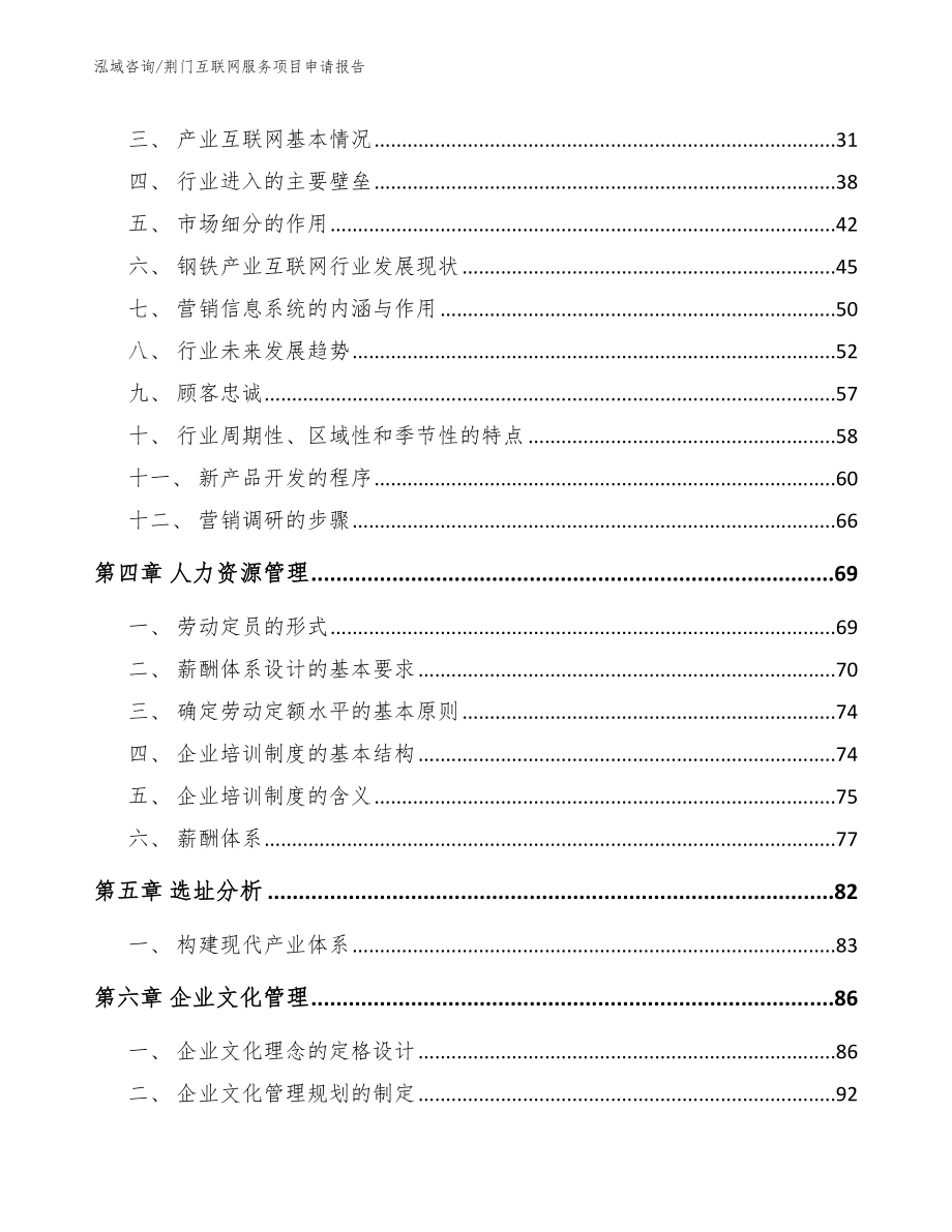 荆门互联网服务项目申请报告_范文参考_第3页