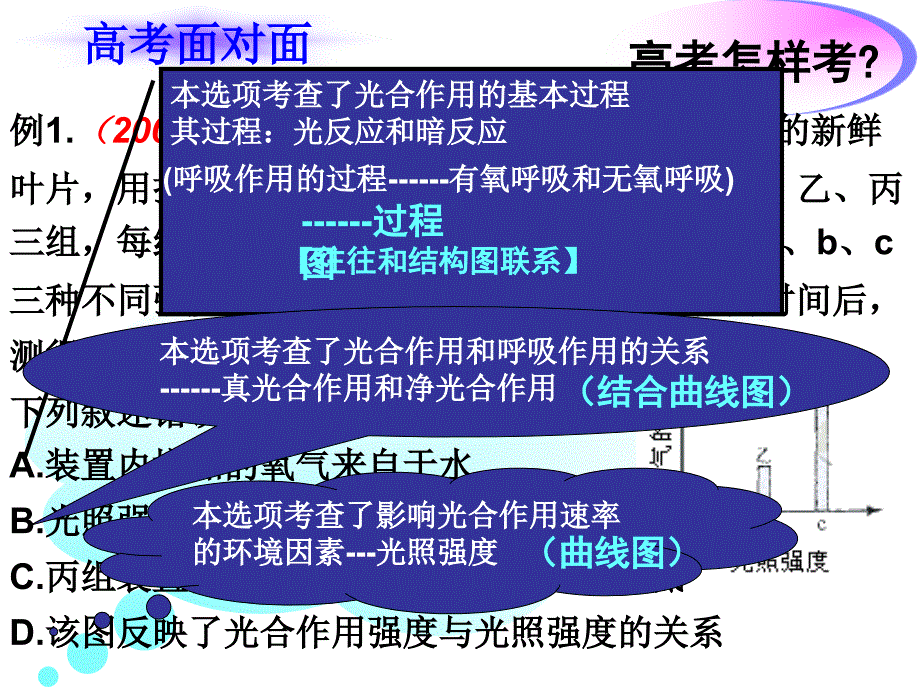 光合作用和呼吸作_第3页