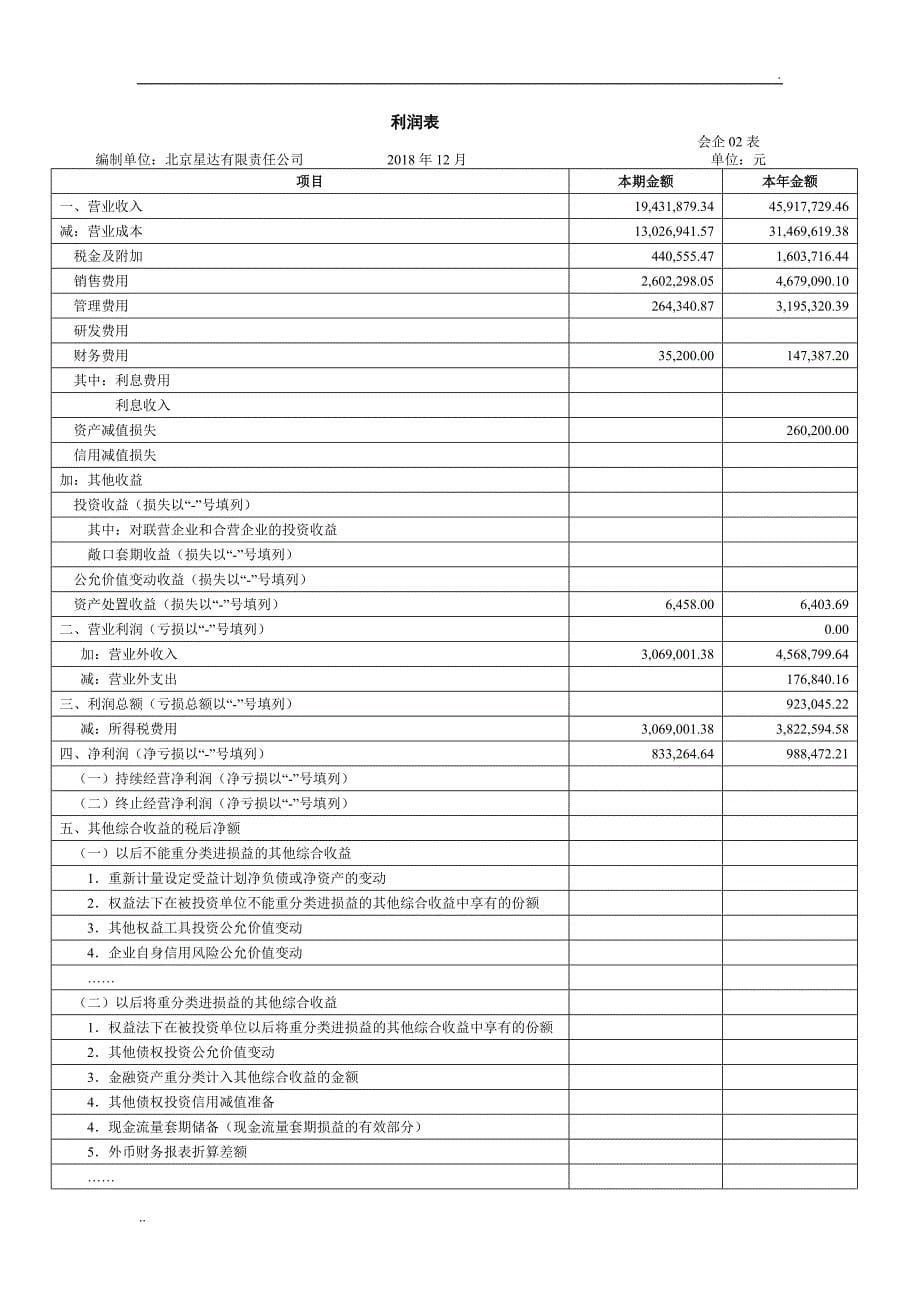 最新格式的资产负债表和利润表_第5页