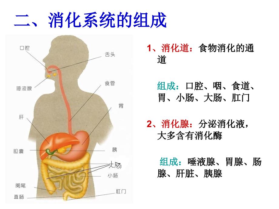 冀教版七年级下册复习14章)_第4页