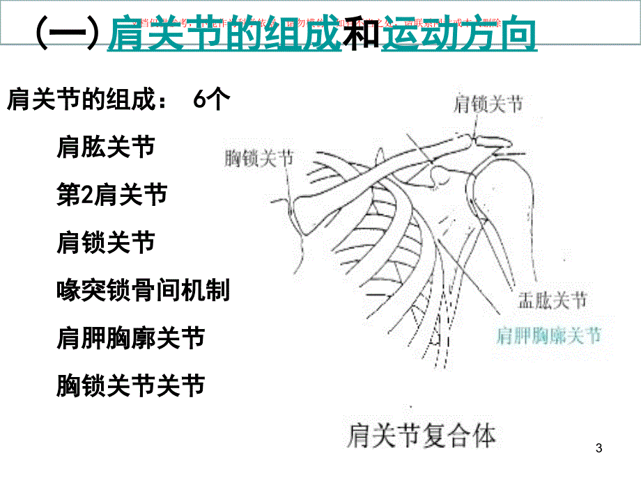 肩关节运动学ppt课件_第3页