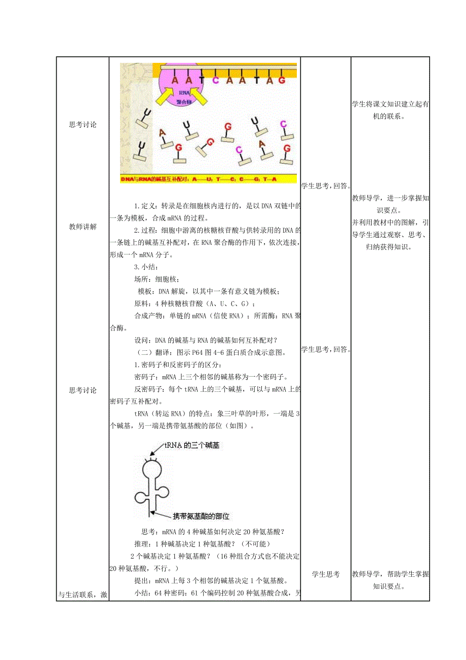 最新基因指导蛋白质的合成教学设计汇编_第3页