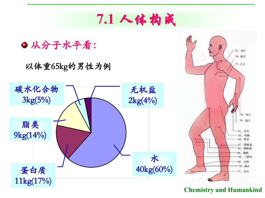 第7章营养与化学元素_第3页