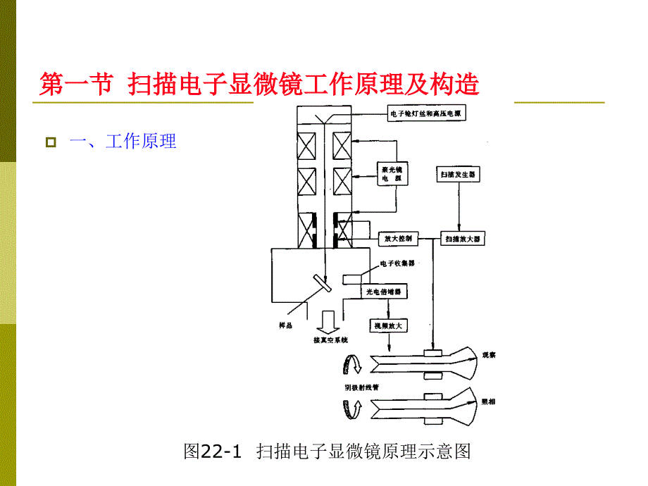 扫描电子显微分析与电子探针_第2页