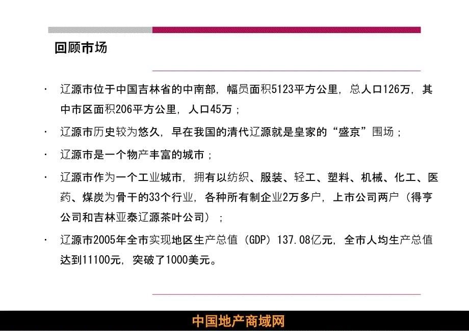 辽源市辽河半岛项目推广策略总纲_第5页