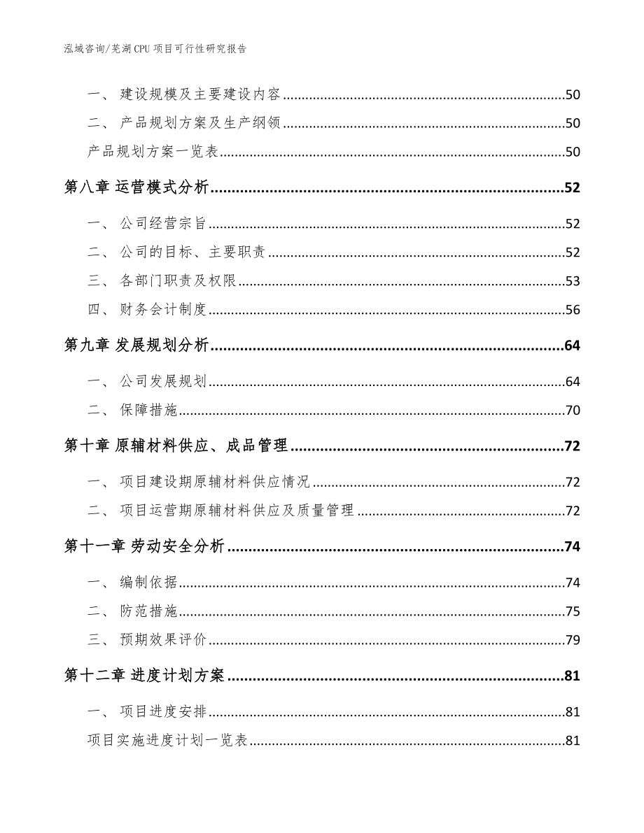 芜湖CPU项目可行性研究报告（范文模板）_第3页