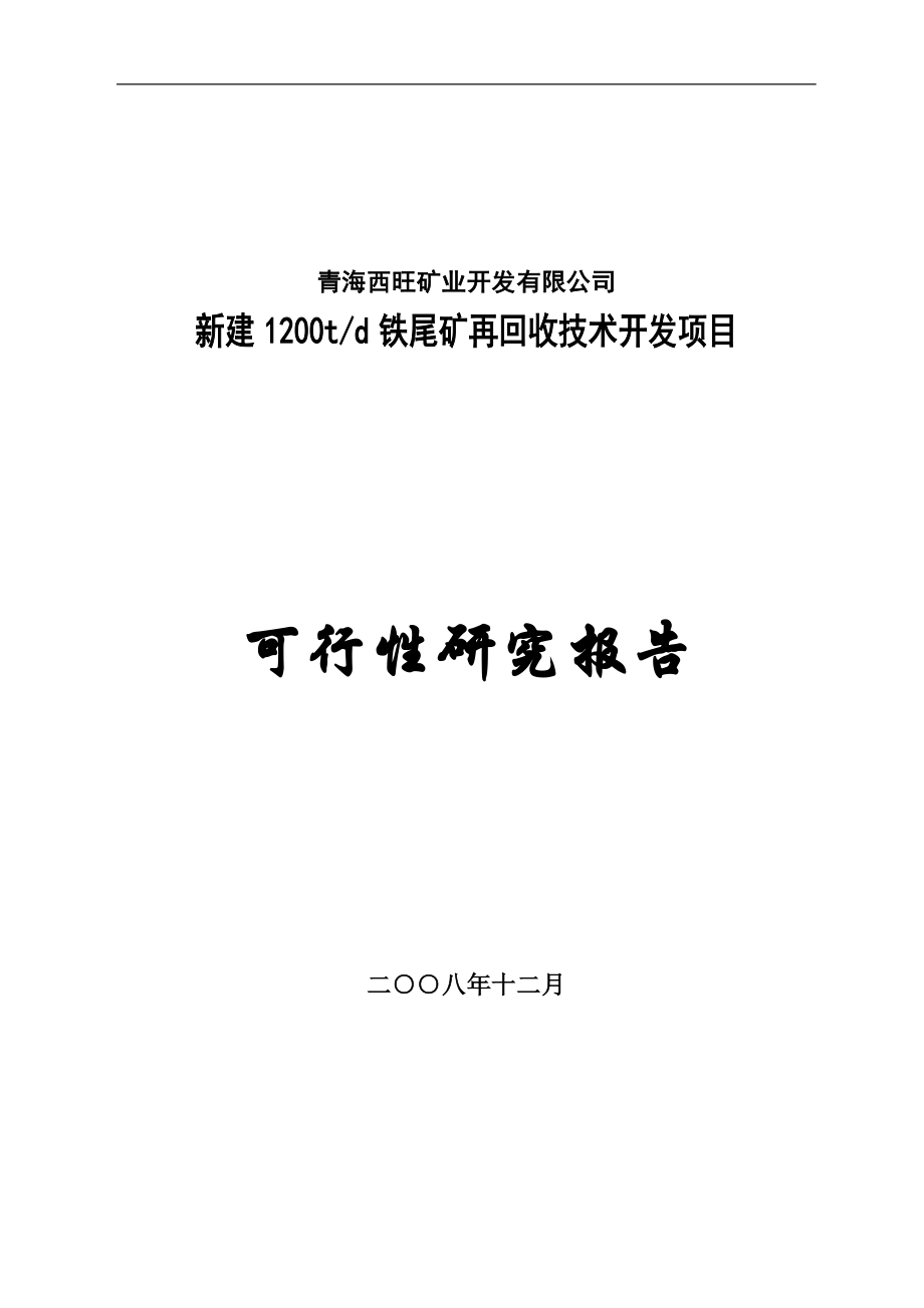 新建1200td铁尾矿再回收技术开发可行性论证报告.doc_第1页