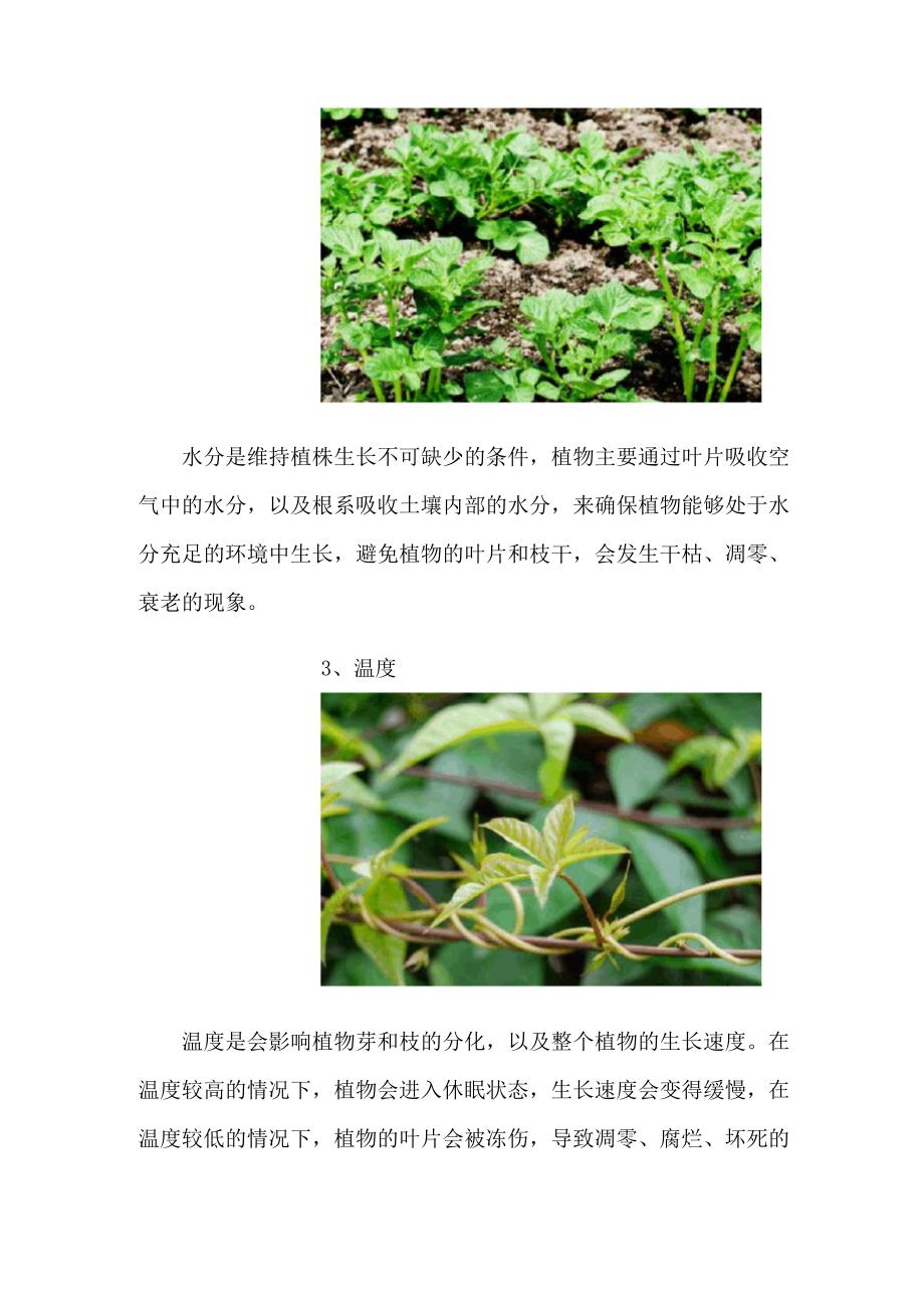 植物生长需要的五个条件_第2页