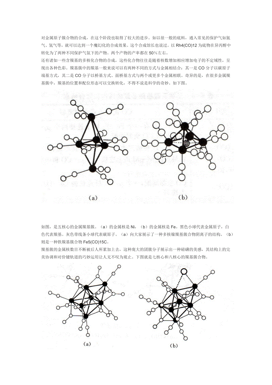 金属原子簇化学.docx_第2页