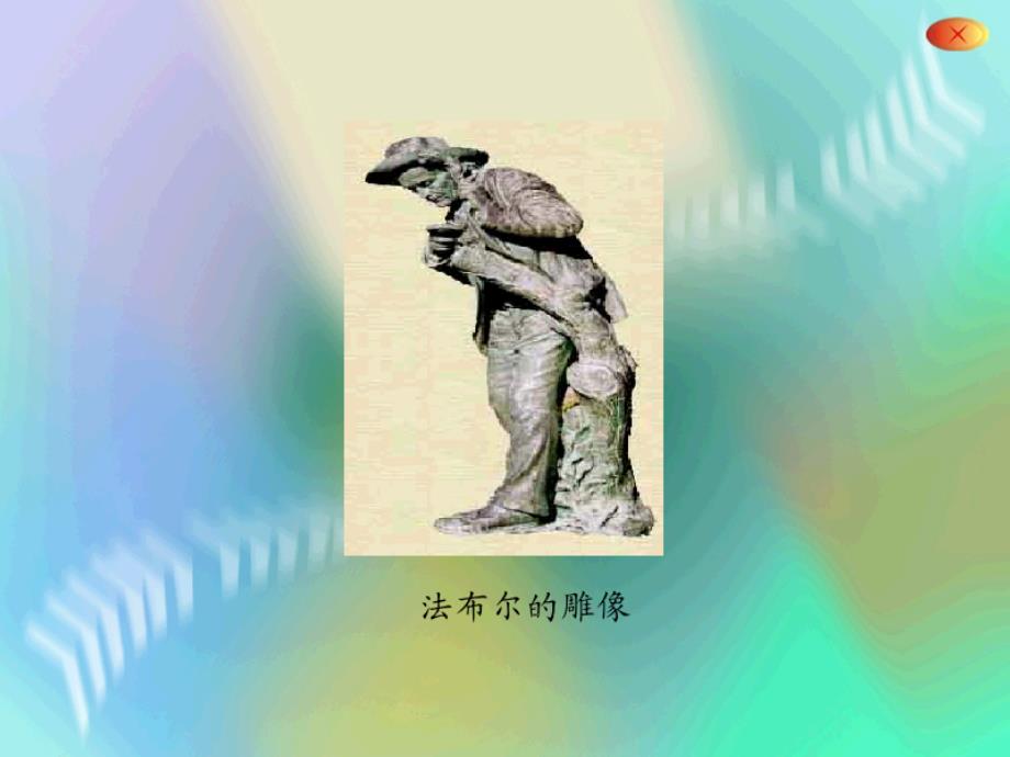 装满昆虫的衣袋_第1页