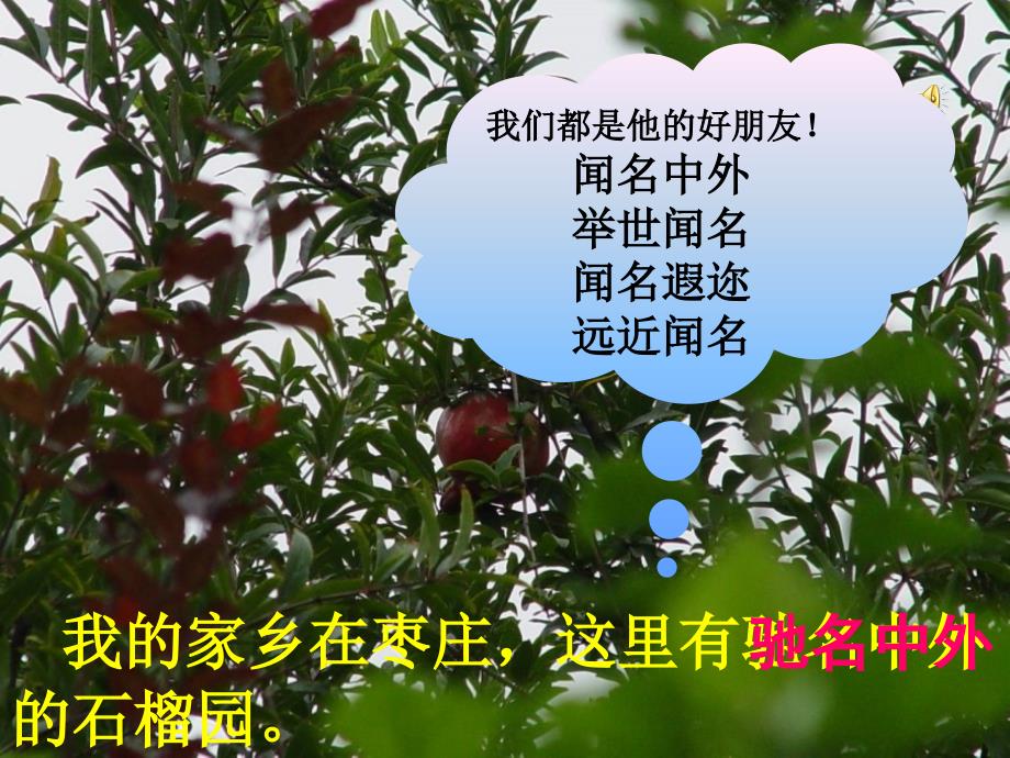 苏教版三年级上册语文石榴课件.ppt_第2页