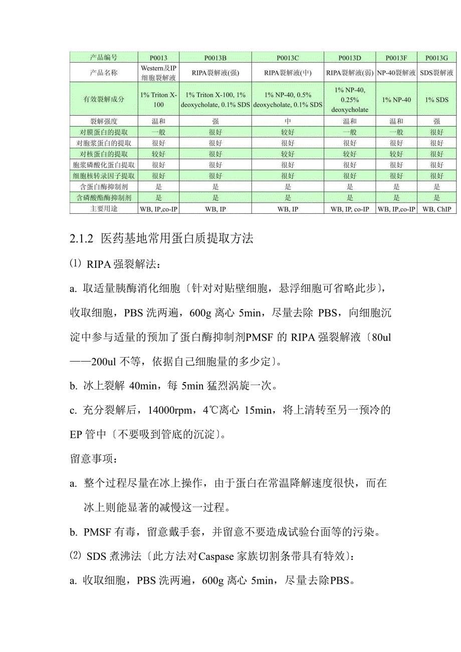 WesternBlot使用技术手册.docx_第5页