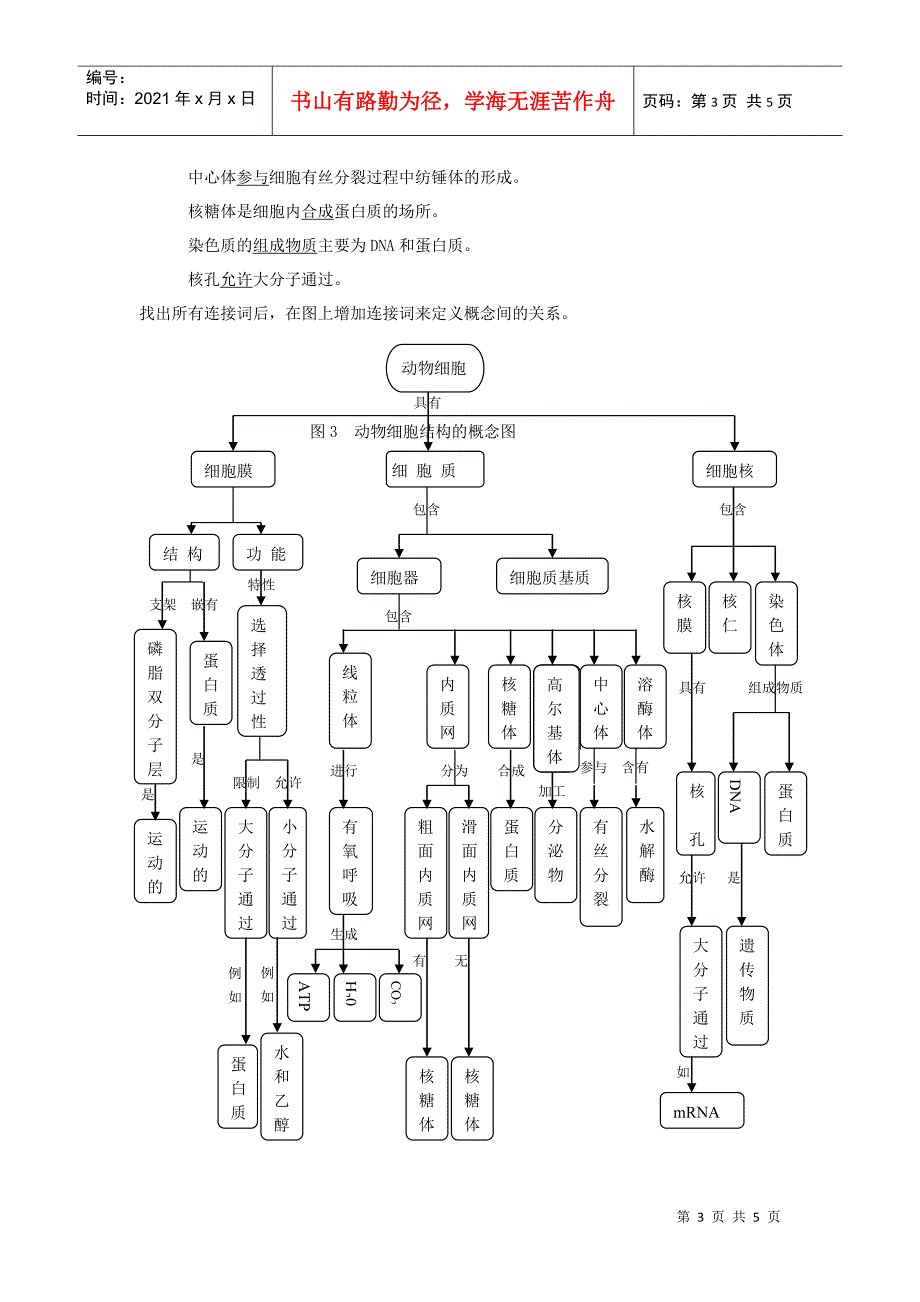 生物科第一轮复习中如何应用概念图复习_第3页