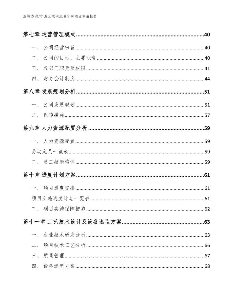 宁波互联网流量变现项目申请报告（模板）_第5页