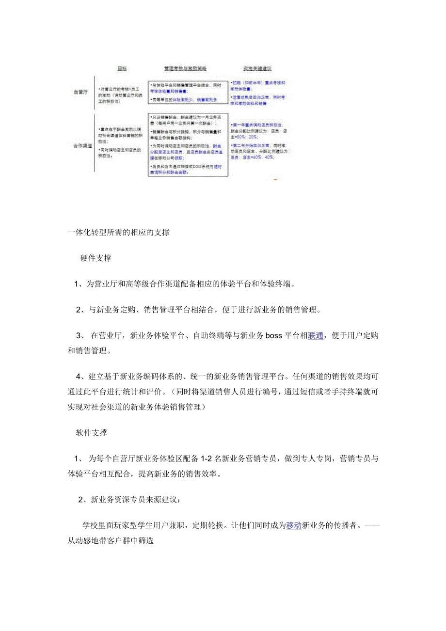 全业务运营下,如何通过渠道一体化实现数据业务营销(一).doc_第5页