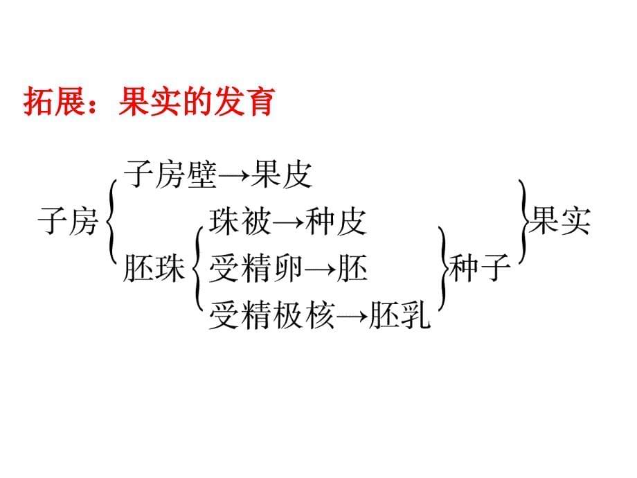 遗传因子的发现.ppt_第5页