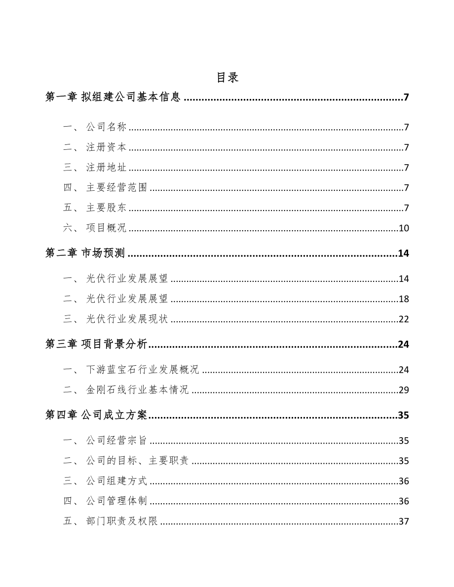 南京关于成立金刚石线公司可行性报告(DOC 89页)_第2页