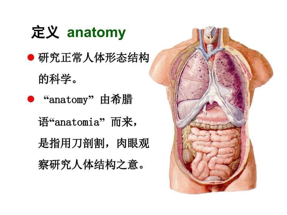 临床应用解剖学绪论课件_第5页