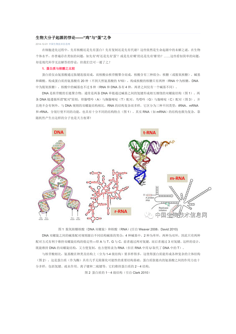 生物大分子起源的悖论——“鸡”与“蛋”之争_第1页