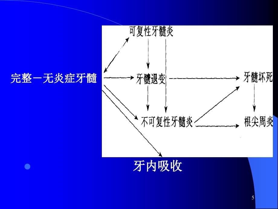 牙髓病的分类、临床表现及诊断_第5页