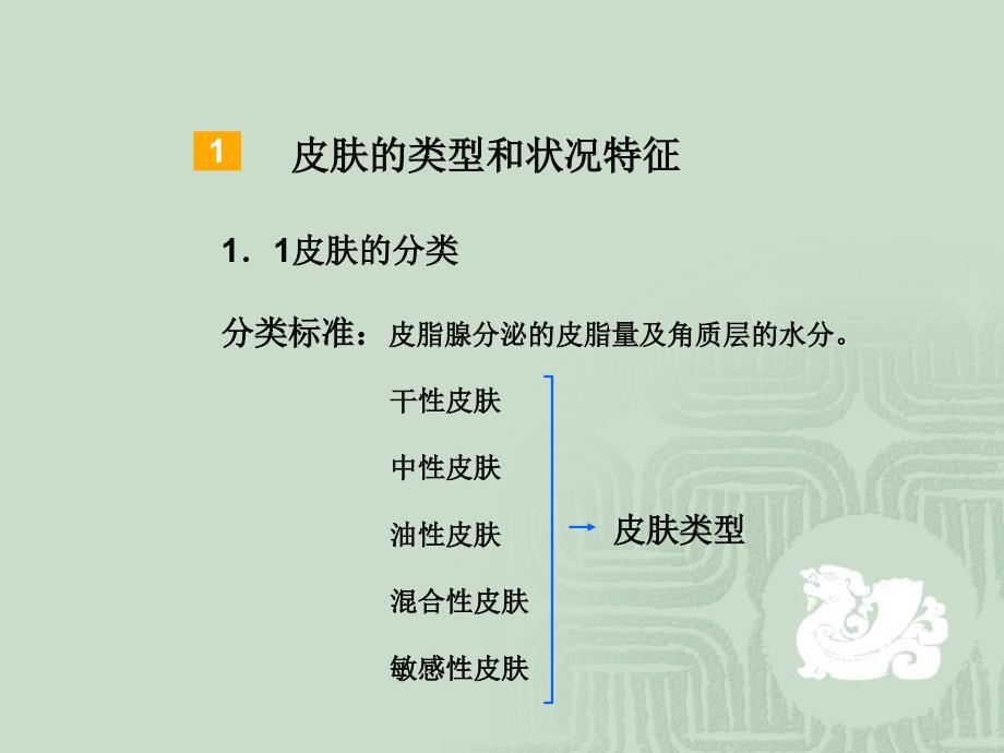 皮肤的类型和健美标准.ppt_第3页