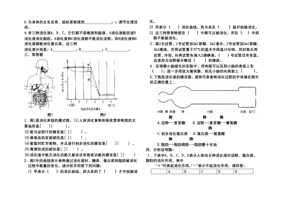 初一生物练习(下) (2)(精品)_第3页