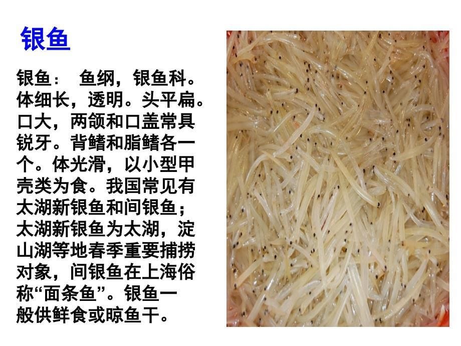 常见食用淡水鱼类(食谱)_第5页