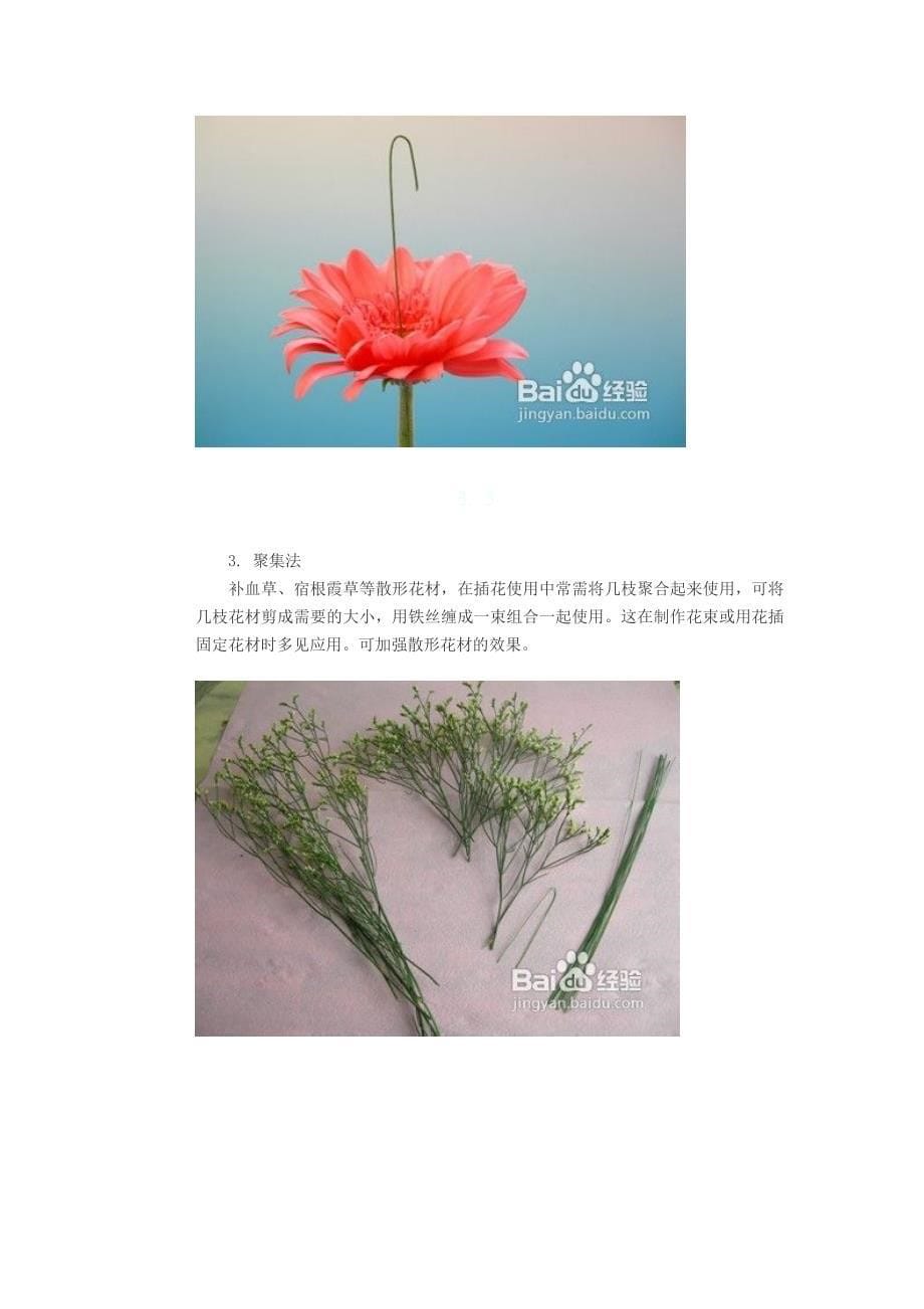 花材整理方法和加工技巧.doc_第5页