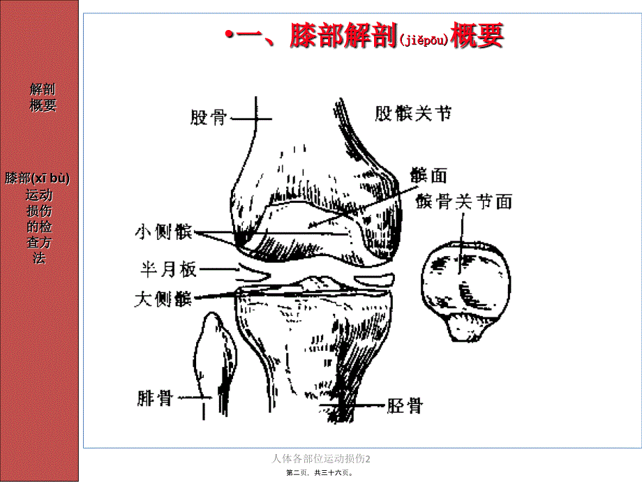 人体各部位运动损伤2课件_第2页