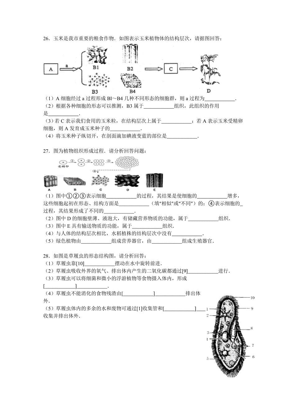 人教版七年级生物上册第二单元_生物体的结构层次_测试卷解析版_第5页