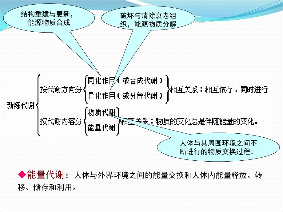 三年级体育与健康第一课时课件 (2)_第2页