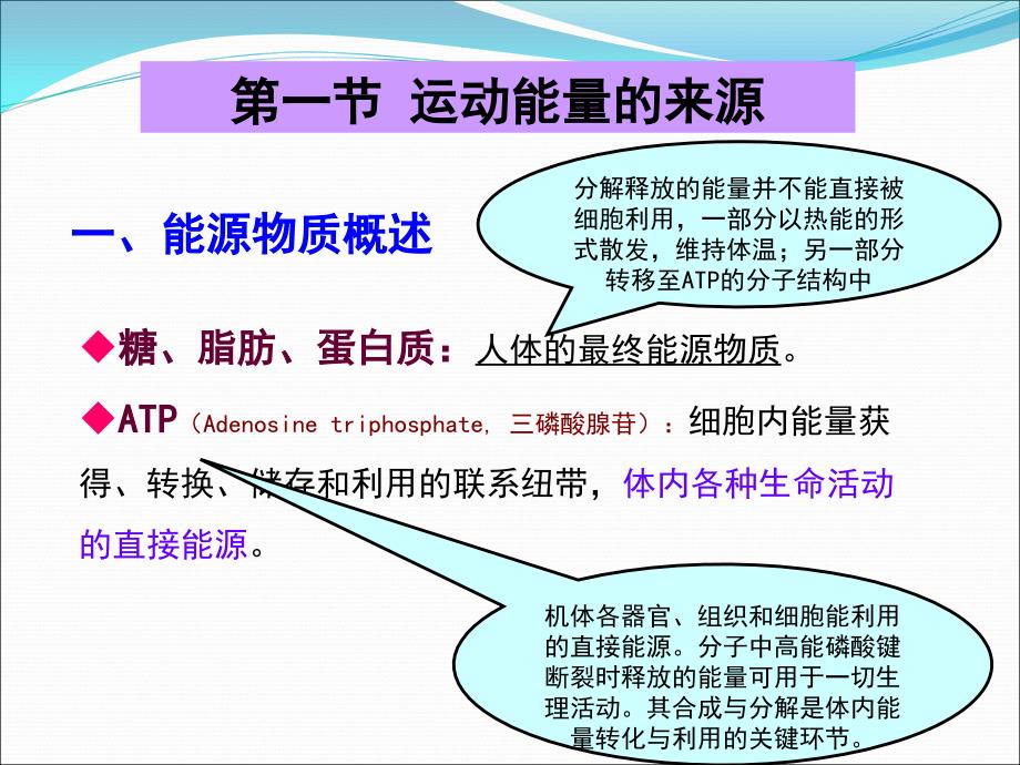 三年级体育与健康第一课时课件 (2)_第4页