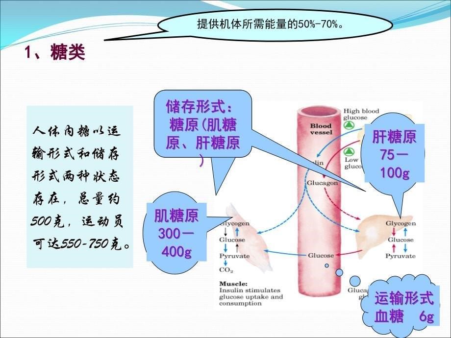 三年级体育与健康第一课时课件 (2)_第5页