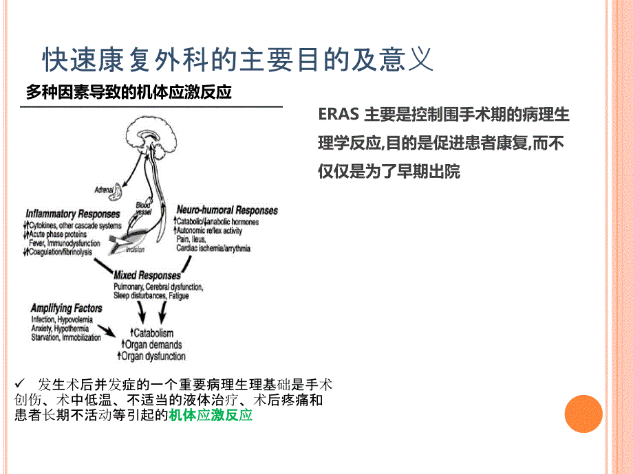 外科围手术期快速康复护理_第3页