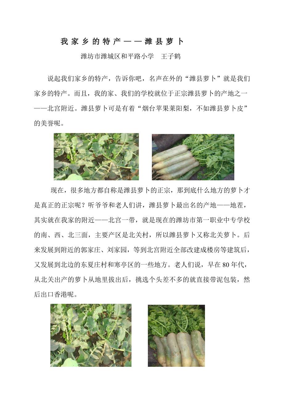 我家乡的特产——潍县萝卜.doc_第1页
