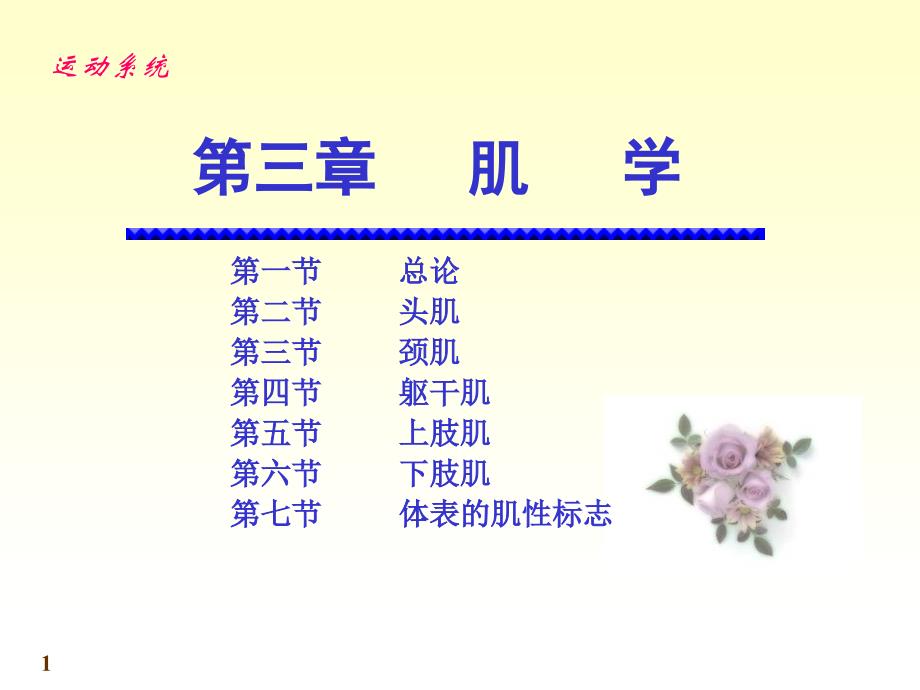 《运动解剖学》第6次课：肌学课件.ppt_第1页