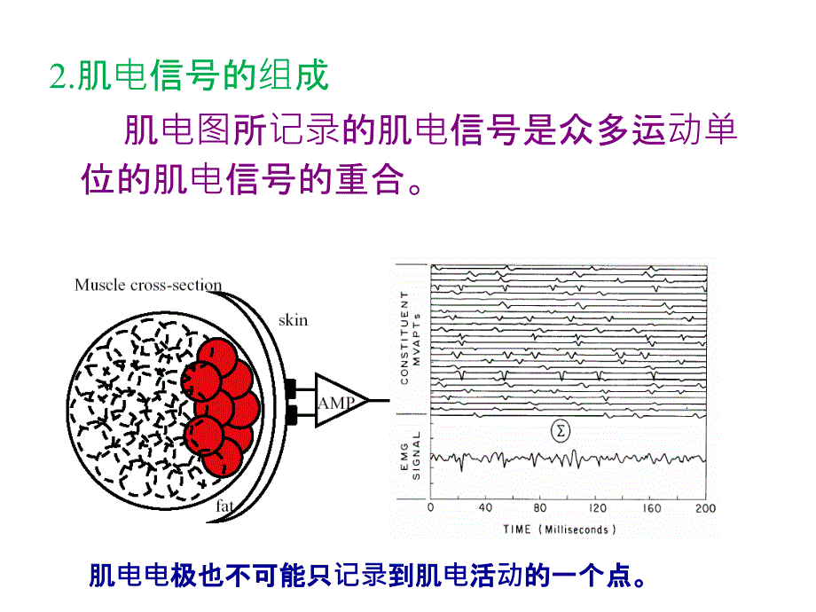 肌电相关知识及电极介绍_第4页