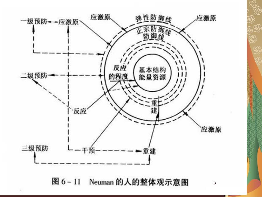 Neuman护理理论_第3页