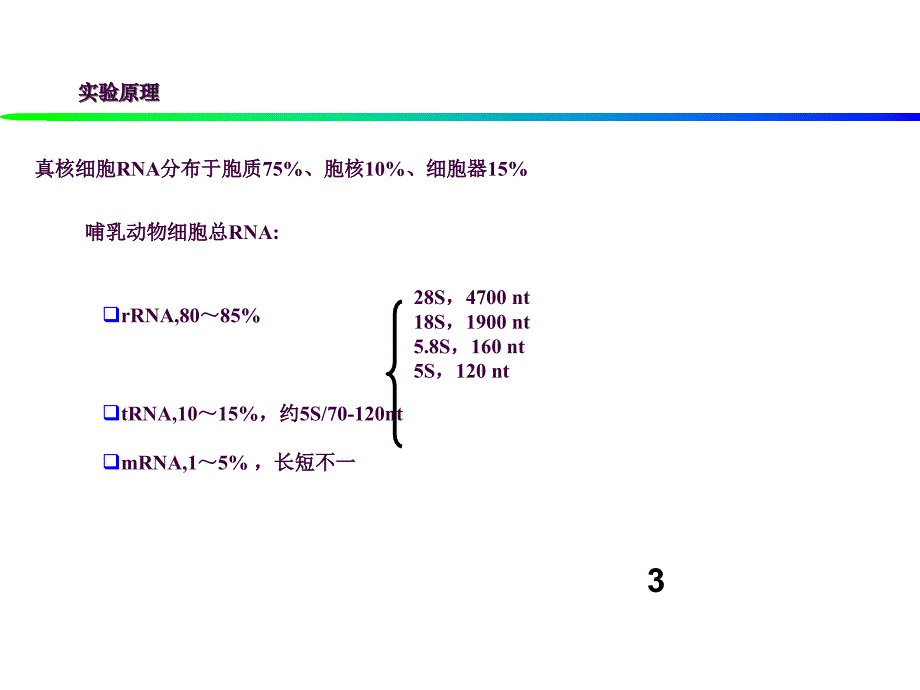 真核细胞RNA的提取及电泳分析ppt课件_第3页