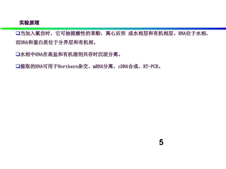 真核细胞RNA的提取及电泳分析ppt课件_第5页